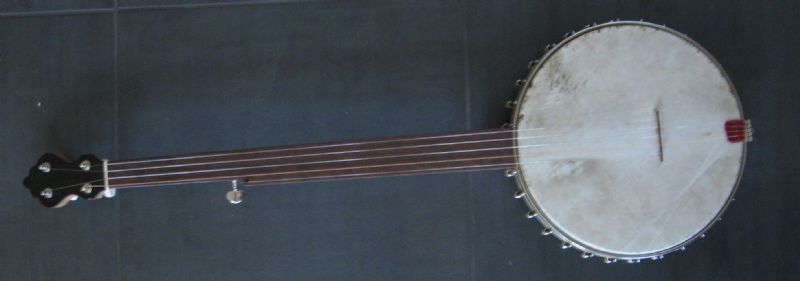 lyon and healy banjo makers mark lyon and healy banjo makers mark