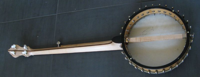 lyon healy mandolin style b