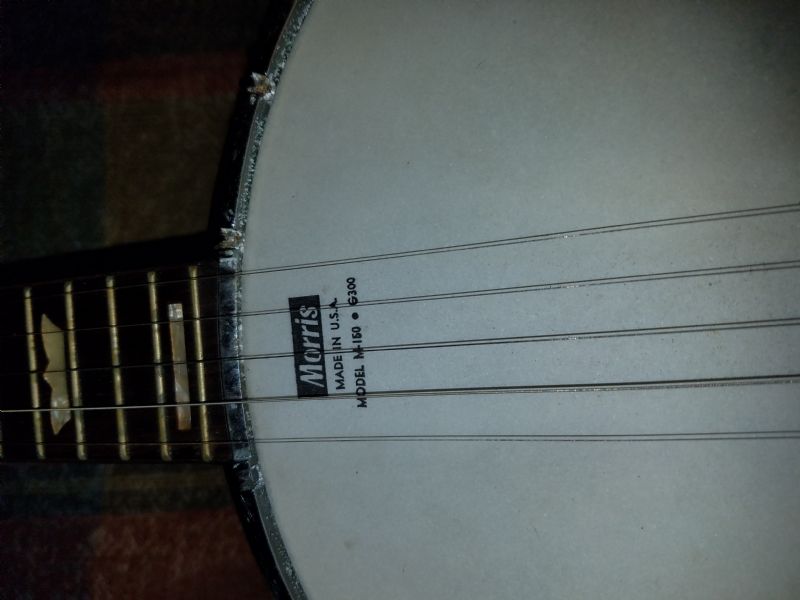 Help! Morris Banjo - Made in Japan - Looks nice! - Discussion