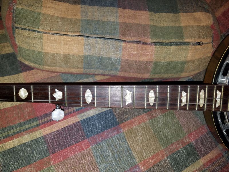 Help! Morris Banjo - Made in Japan - Looks nice! - Discussion