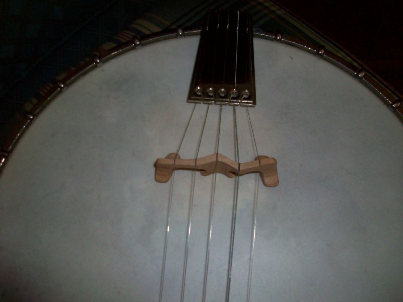 Grover - Acousticraft Banjo Bridge - 5-String 5/8 Inch High