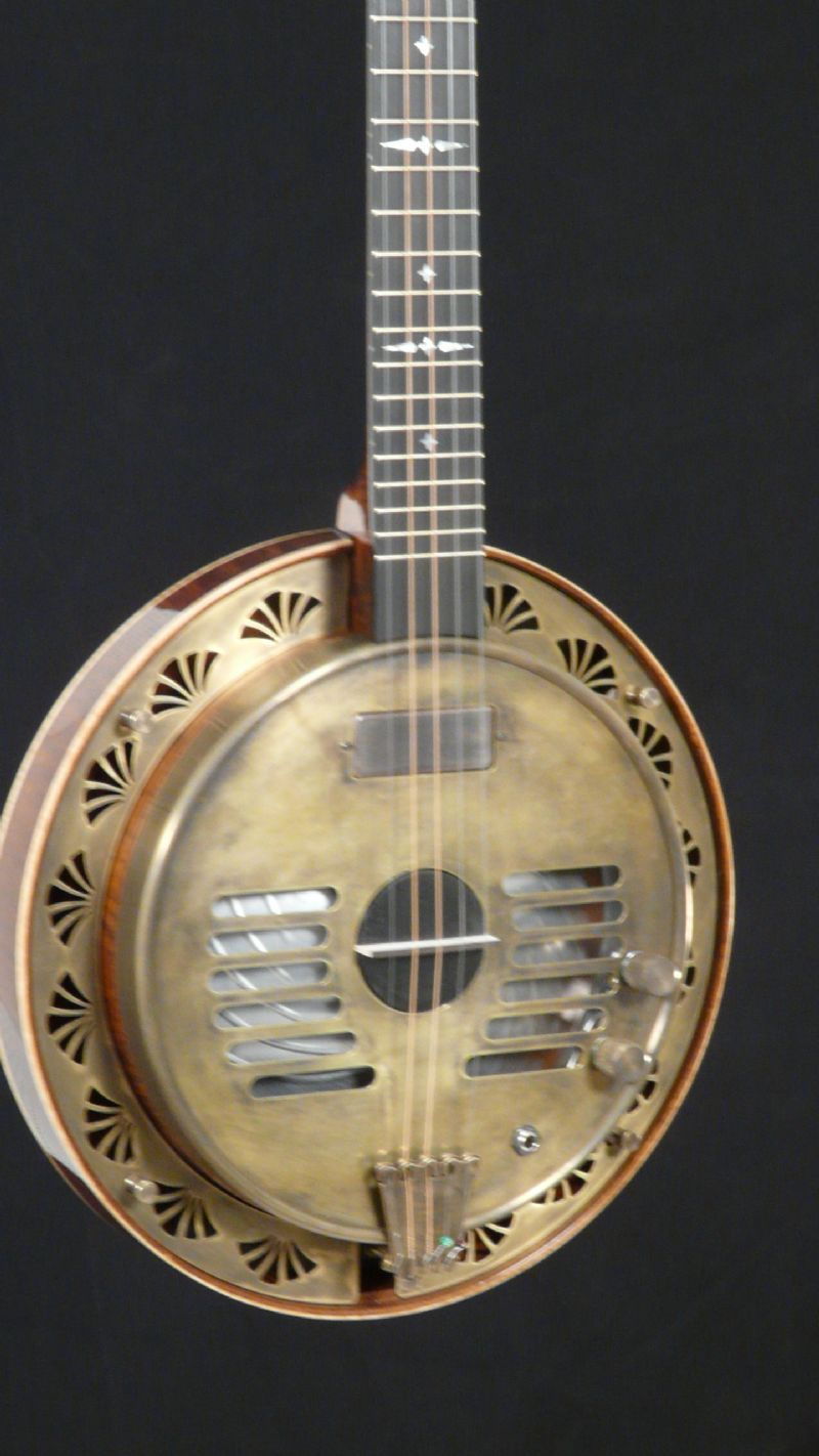 Banjo Dulcimer Hybrid Discussion Forums Banjo Hangout