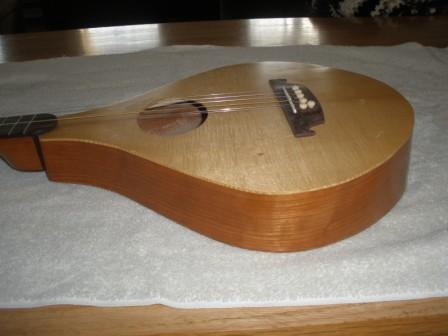 Medieval banjo cheap