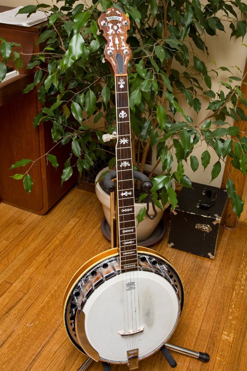 Fender Artist Banjo Questions Discussion Forums Banjo Hangout