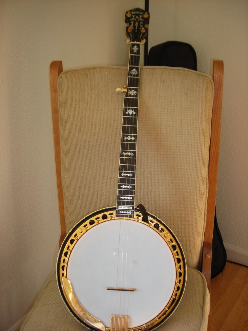 Fender banjo models discount