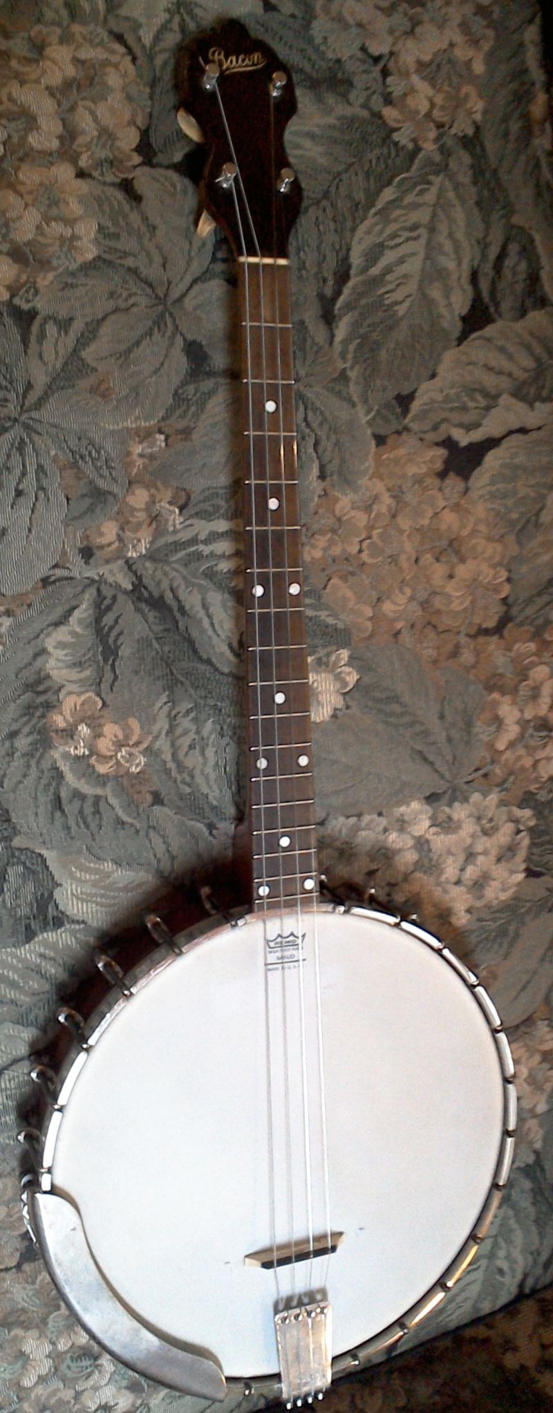 peerless guitars banjo