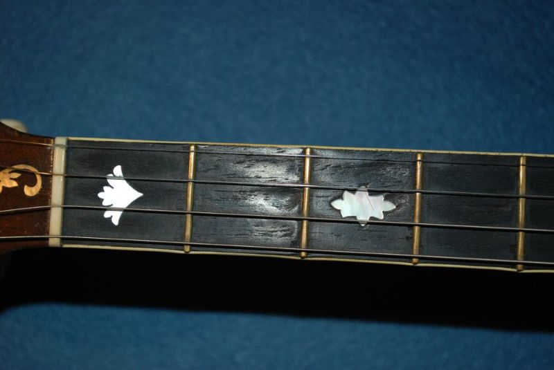 Fretboard Wear Repairable Discussion Forums Banjo Hangout