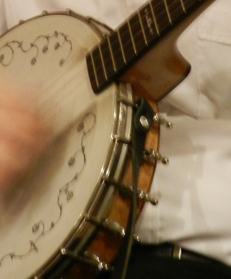 Levy Cradle Style Banjo Strap