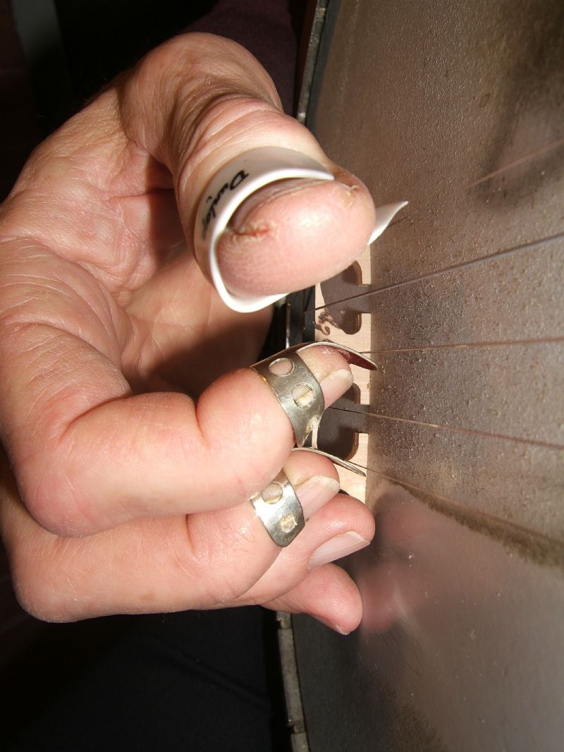 Confirm. agree golden bridge thumb pick what Can suggest golden bridge thumb pick think