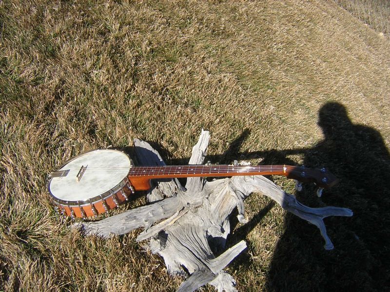 1973 ome banjo grubstake 1973 ome banjo grubstake