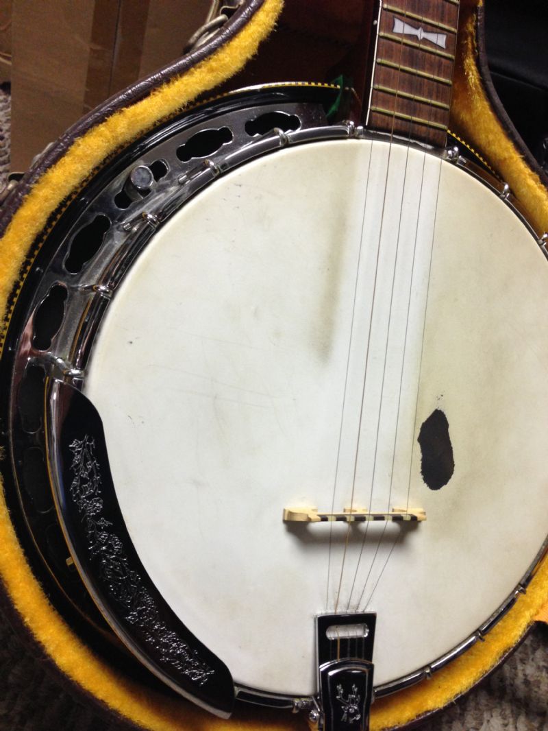 Elger Banjo...Need help identifying Discussion Forums Banjo Hangout
