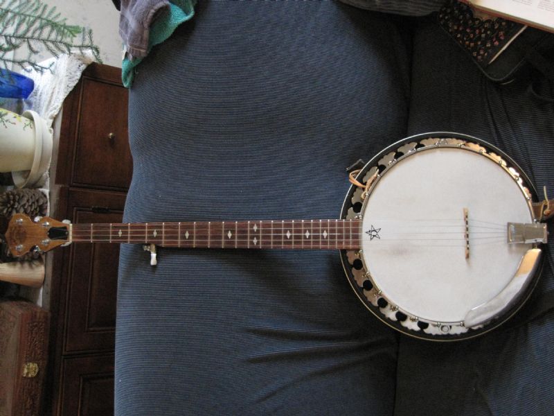 Deering intermediate banjo sales