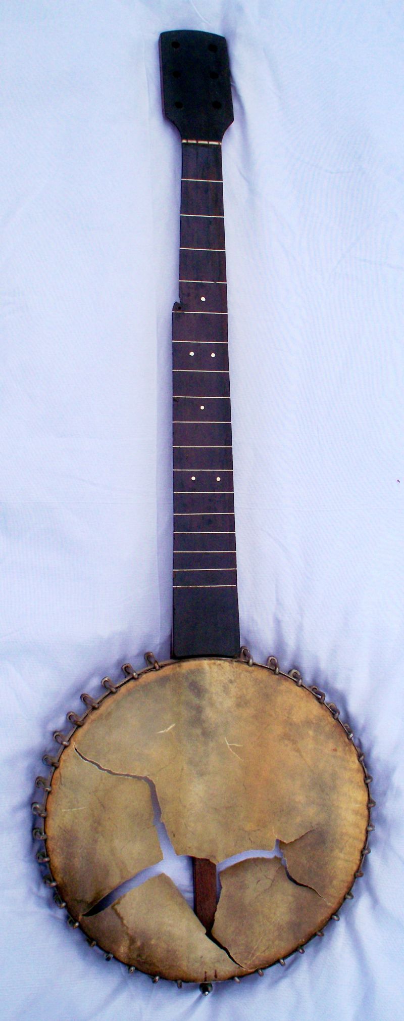 Antique 7 String Fretless Banjo Discussion Forums Banjo Hangout