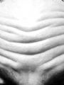 View BigFisher's Homepage