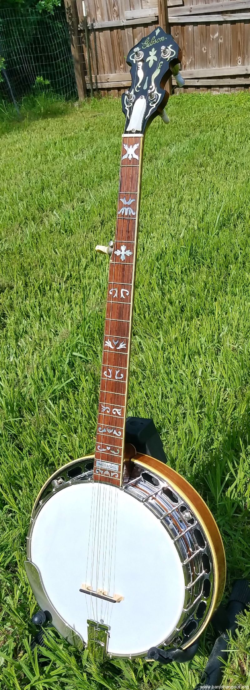 Banjo Rehab Center Banjo Restoration