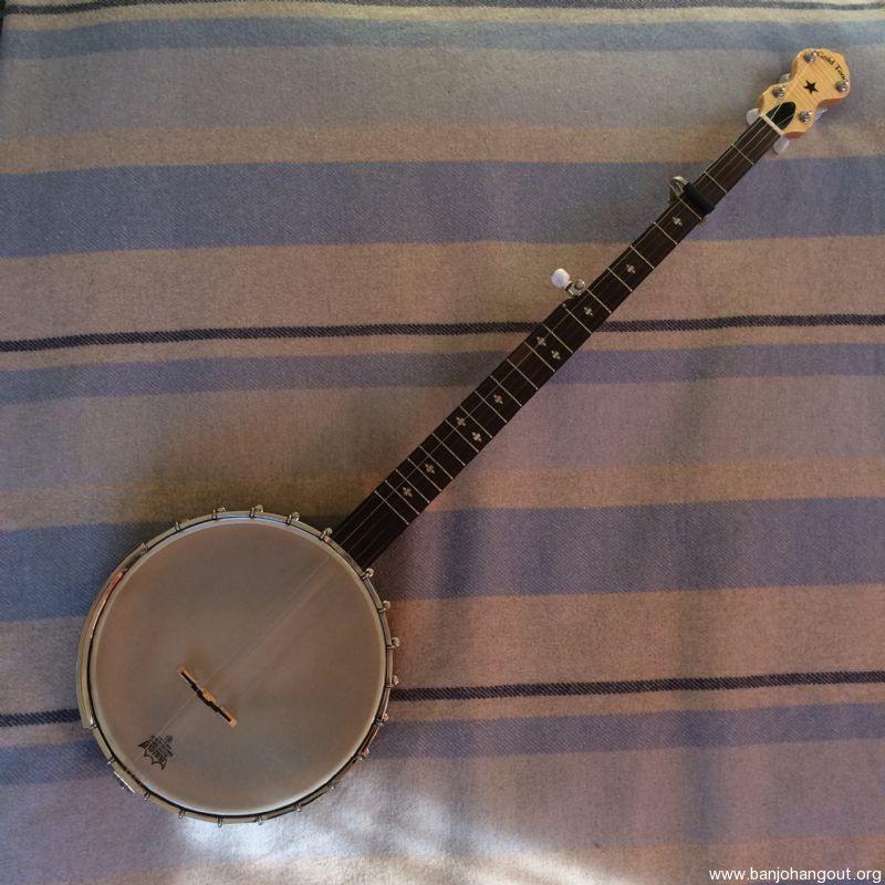 For Sale Gold Tone Long Neck Banjo