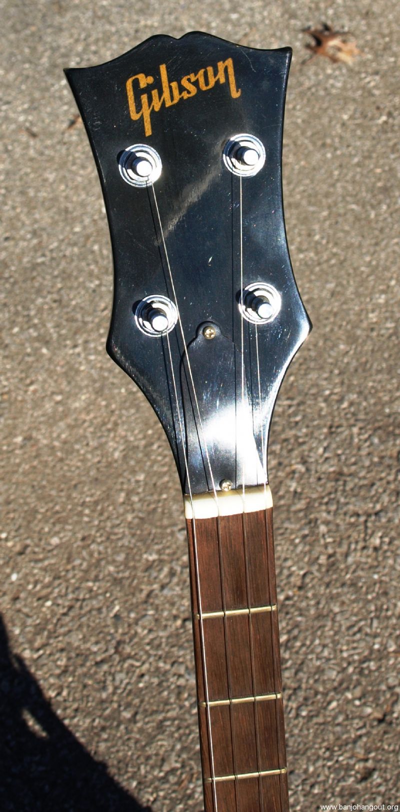ome banjo peghead shapes