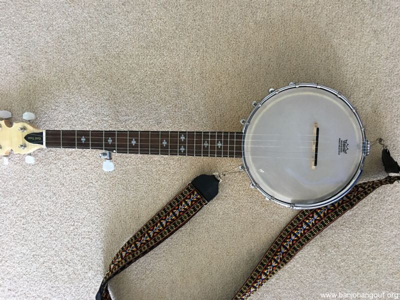 Gold Tone Cripple Creek Mini Travel Banjo Used Banjo For Sale at