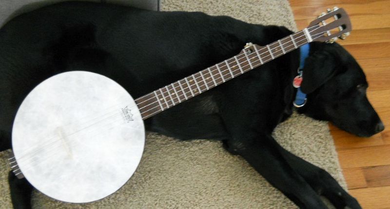 Build Banjo Using Hand Drum Build Banjo Using Hand Drum