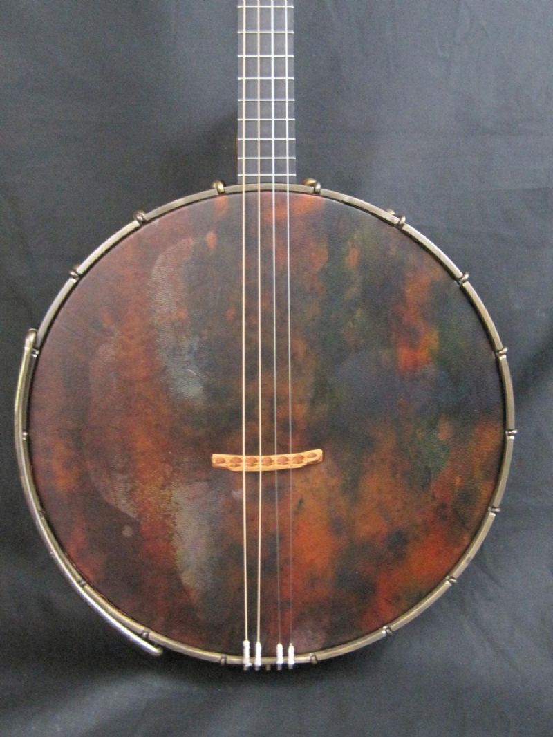 Doc Huff 4-string internal resonator cello banjo - head