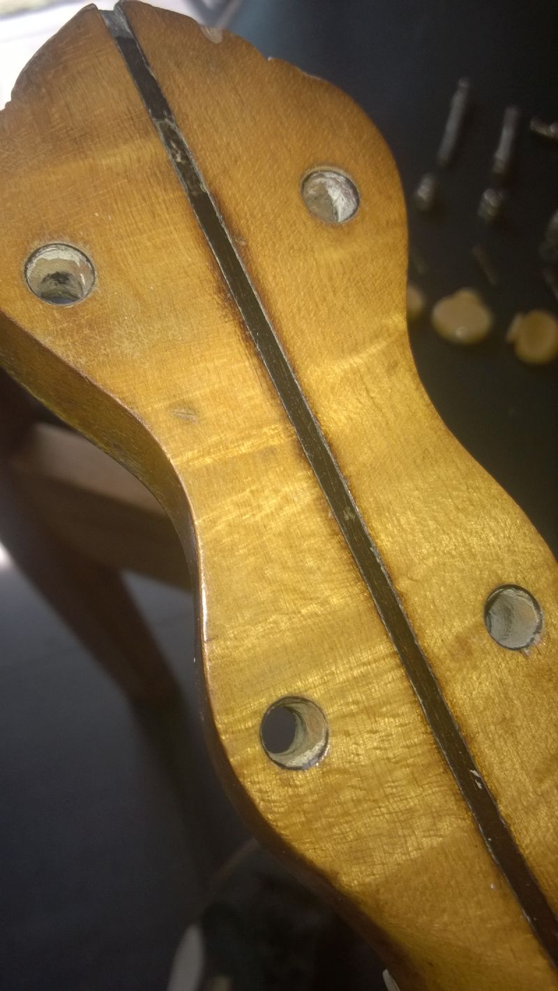 all friction banjo tuners removed