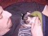 Click to Enlarge