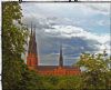 Click to Enlarge
