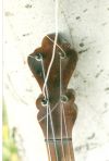 Click to Enlarge