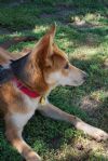 Click to Enlarge