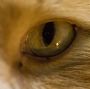 View fishingcat's Homepage