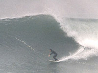 View foggycoast's Homepage