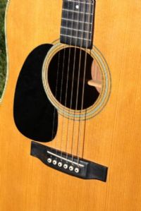 View Bluegrass' Homepage