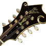 View GuitarDogs62's Homepage