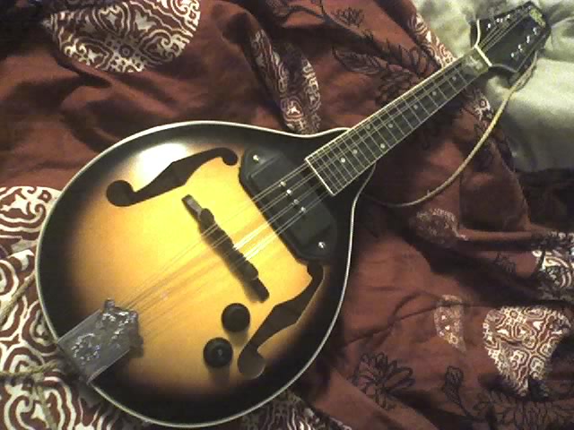 Mandolin 5 string mandolin chords : Newbie. Electric 5-String Octave vs Guitar