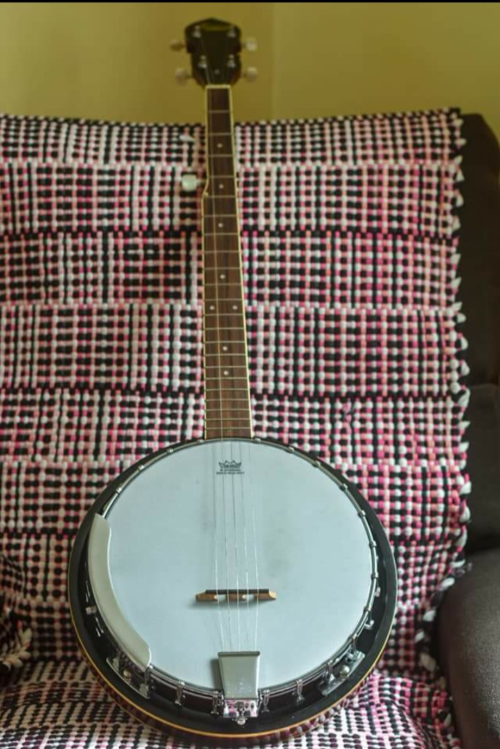 Ktone banjo purchase advice Discussion Forums Banjo Hangout