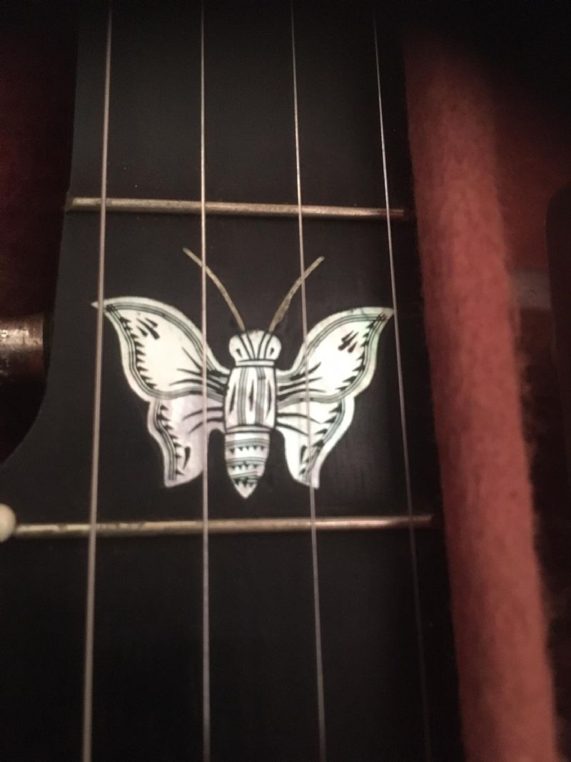 old-tuning-pegs-slipping-discussion-forums-banjo-hangout