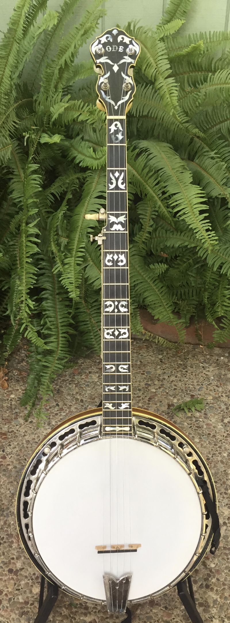 history of ode banjos history of ode banjos