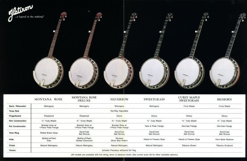 Flatiron banjo shop