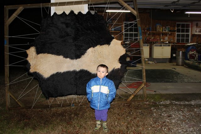 Brain Tanning Deer Hides (fur on) - Discussion Forums - Banjo Hangout