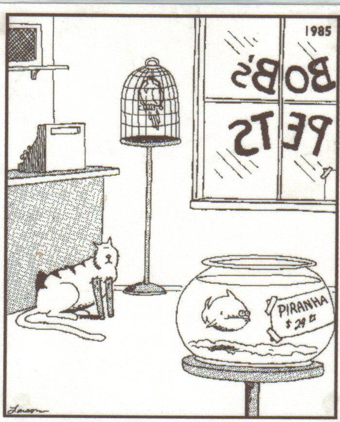 Your Favorite 'Far Side' Cartoon? - Discussion Forums - Banjo Hangout