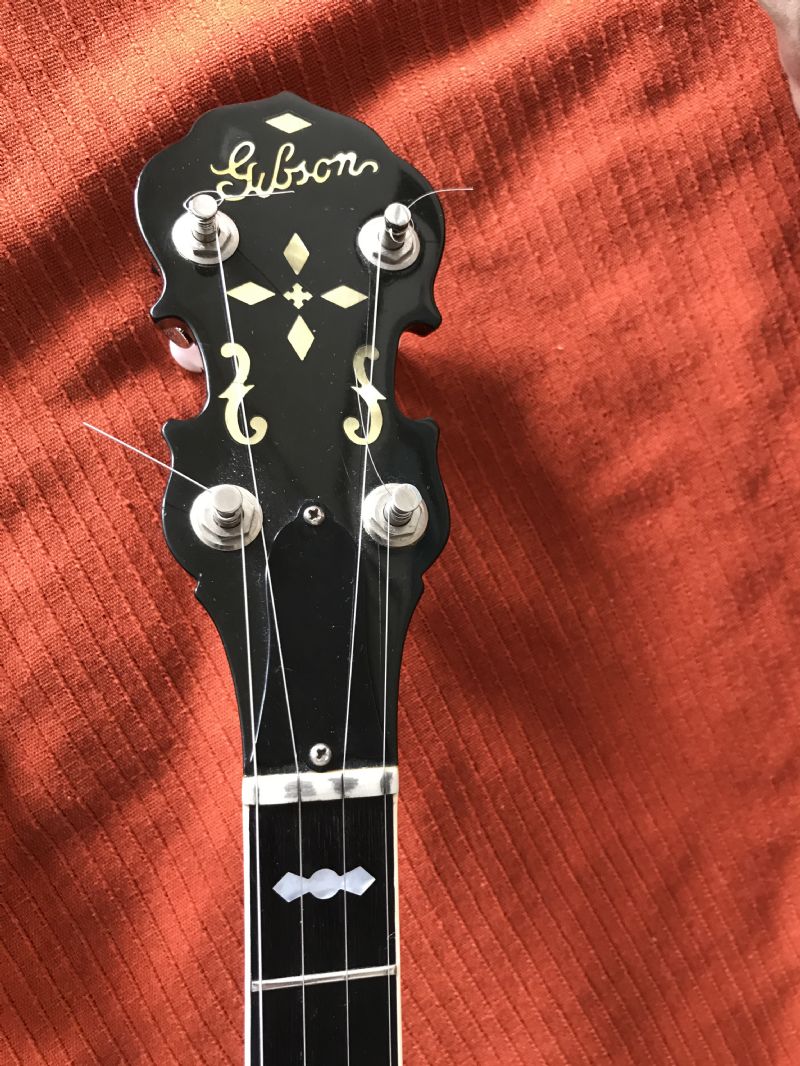 Banjo Serial Numbers Gibson opmdirect