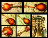 View mandolinfool's Homepage