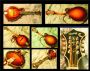 mandolinfool