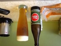 View natester's Homepage