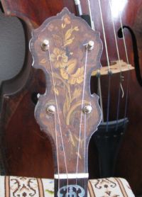 View violin's Homepage
