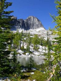 View Matt Gibson's Homepage