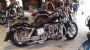 harleydon53