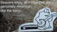 View BanjoBeaver's Homepage