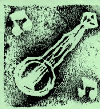 View Andy Anderson's Homepage