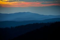 View DonnaJayne DeMoss' Homepage